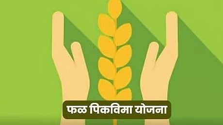 Fruit Crop Insurance