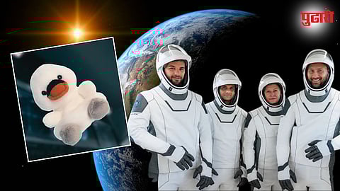 Joy the swan | Mission Axiom-4