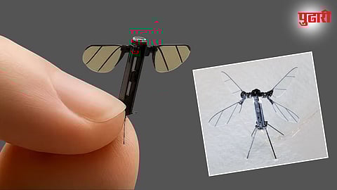 China mosquito drone