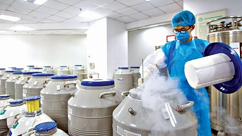 Sperm preservation legal battle