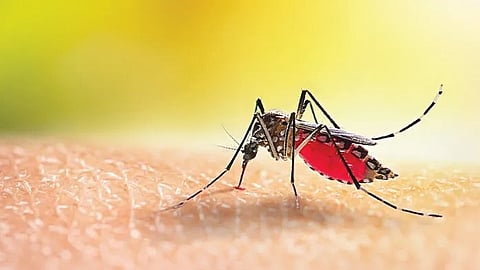 Malaria and gastro Mumbai