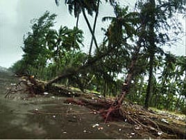  Dangerous beaches in Palghar