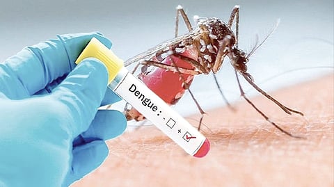 Dengue Cases in Nashik