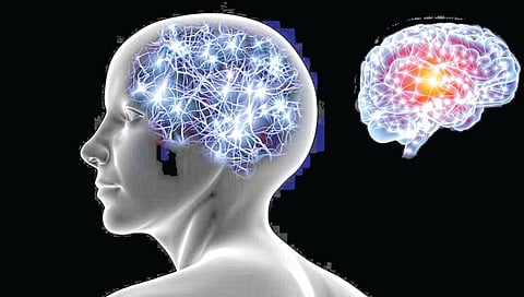 brain-cells-continue-to-generate-in-old-age