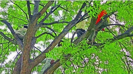 Jalna Farmers Protest