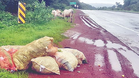 Mumbai Goa Highway Filth Issue