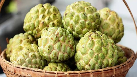 Custard Apple Price