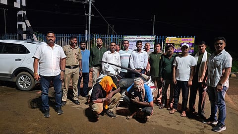 Wildlife Crime News |