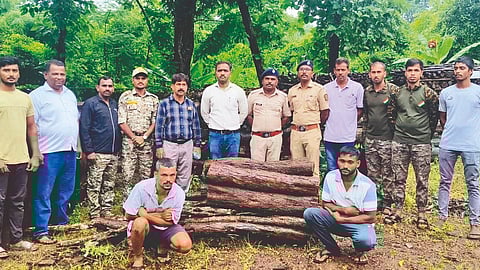 Illegal Timber Transport