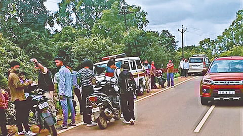 Monsoon Tourism Penalty