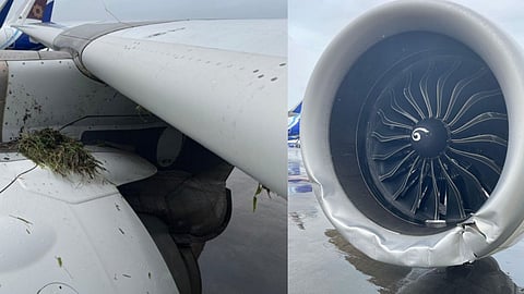 Air India Flight News 