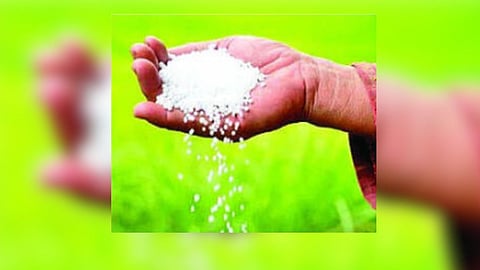 Urea Fertilizer
