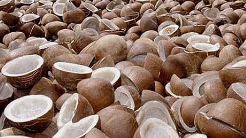 Sharp rise in dried coconut prices