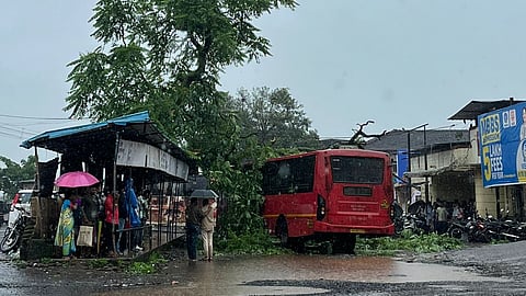 Tree fall Bus Mahad Bus Stand