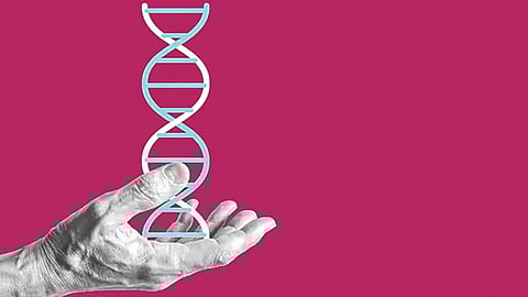 largest-human-genetic-variation-dataset-presented