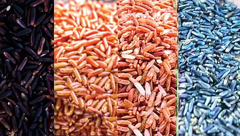 india-cultivates-these-colorful-varieties-of-rice