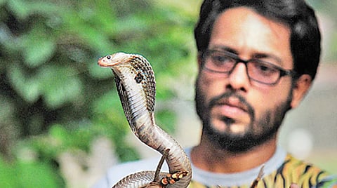 Snake friend ID card and insurance