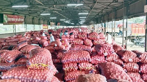 Onion Market