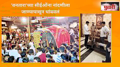 Madhuri Elephant News