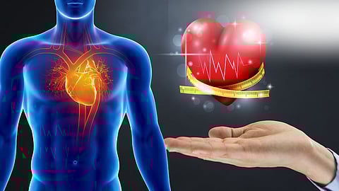 Heart fitness test HRR at home