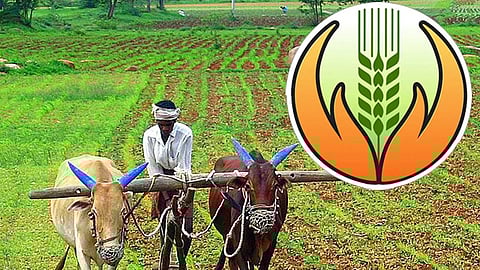 PMFBY Farmers Participation Drop