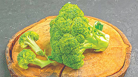broccoli-declared-superfood-by-doctors-and-fitness-experts