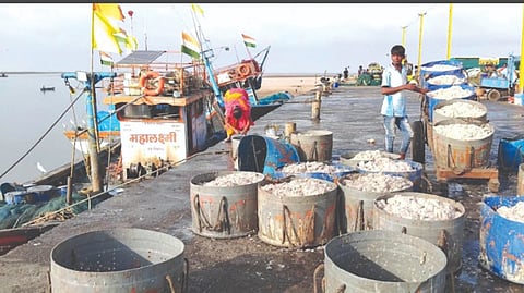 Raigad fishermen exploitation