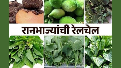 Wild vegetable festival