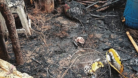 Chimur Taluka Palasgaon lightning incident 