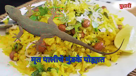  Dead Lizard Food Poisoning Case