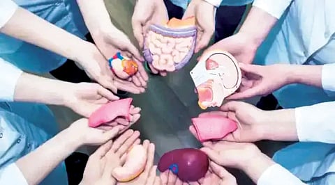 Organ Donation Day |