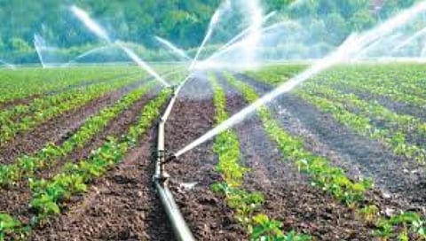 maharashtra-approves-596-crore-for-micro-irrigation