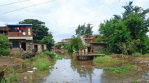 Warana river  water level