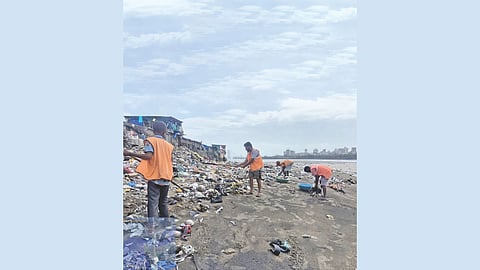 Mumbai clean beaches