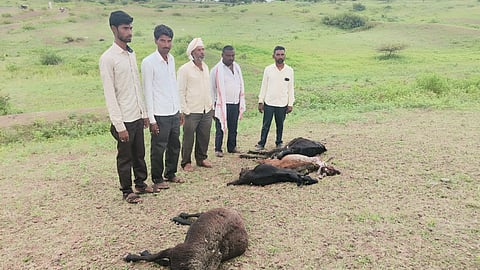 नांदगाव (नाशिक) 