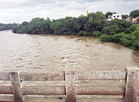 Jayakwadi dam full