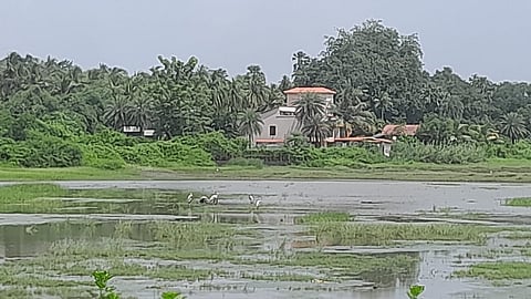 डहाणू (पालघर)