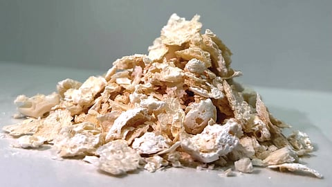 biodegradable-plastic-stronger-than-pet