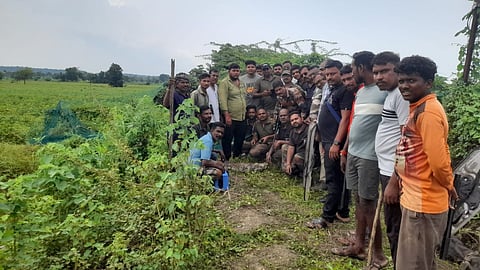  Mul taluka leopard found dead 