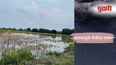 Dharashiv Heavy Rain