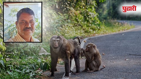 Mahabaleshwar Accident News