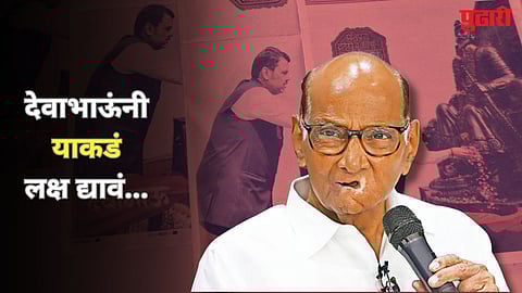 Sharad Pawar Statement About Devendra Fadnavis 