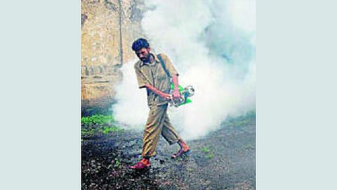 BMC insecticide fumigation drive