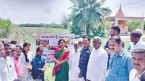 Solapur News |