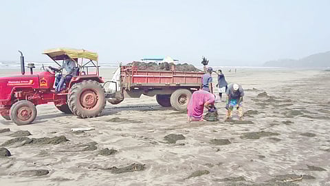 Murud dumping ground issue