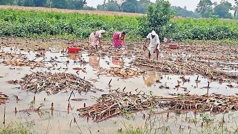 Heavy rainfall flood damage