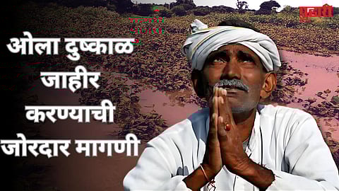 Marathwada Rain Wet Drought 