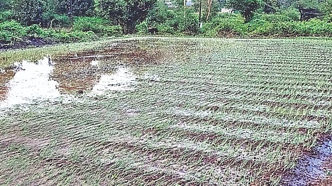 चांदवड  (नाशिक)