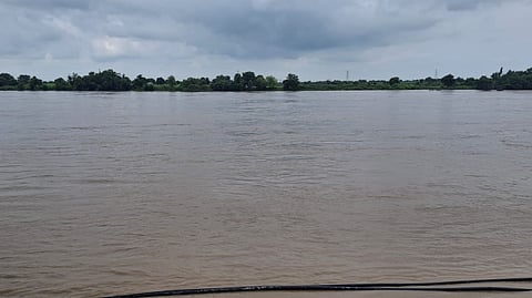 Godavari danger level