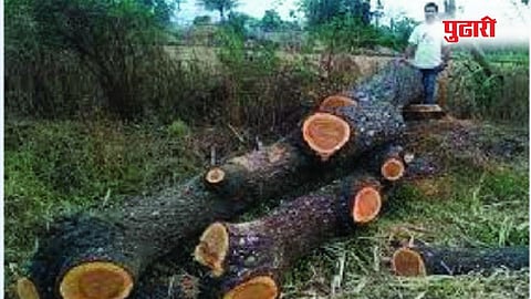 भोकर (नांदेड) 